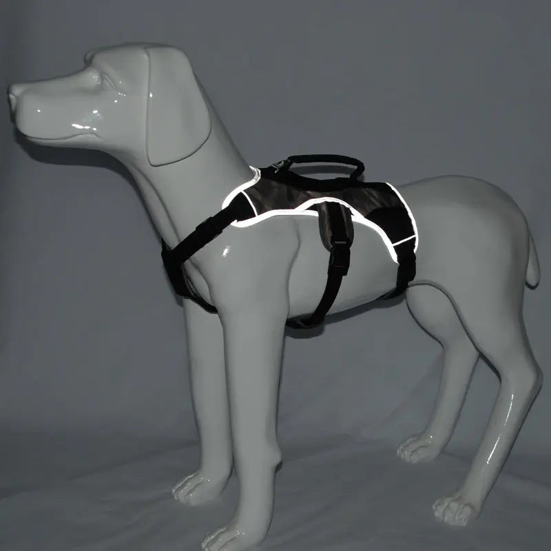 dog training harness Professional Dog's Training Vest Harness - Military Grade Tactical Equipment WLP Company