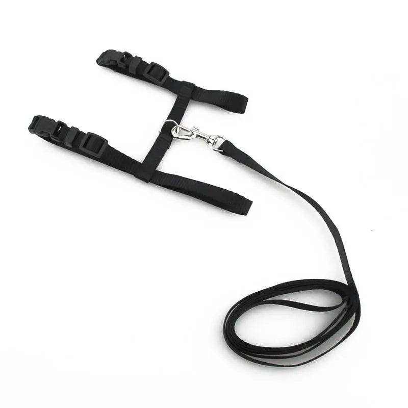 cat harness Adjustable Cat Walking Harness WLP Company