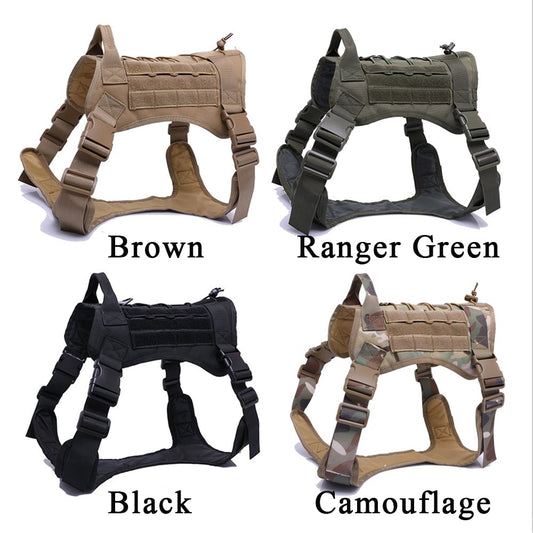 Dog Harness and Leash Set With Nylon Handle