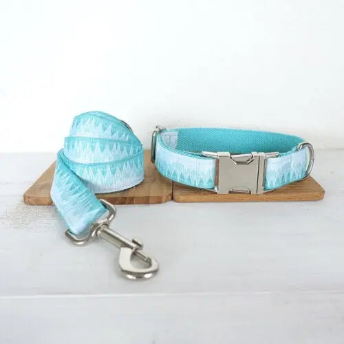 Turquois Dog Collar and Leash Set - Stylish and Durable WLP Company