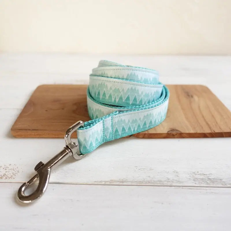 Turquois Dog Collar and Leash Set - Stylish and Durable WLP Company