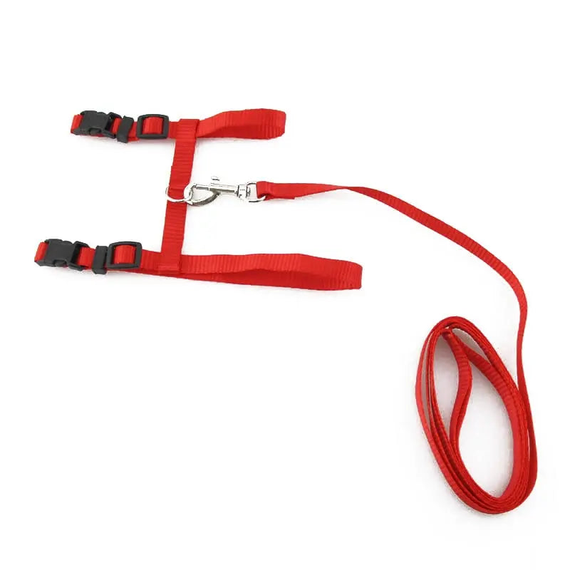 cat harness Adjustable Cat Walking Harness WLP Company