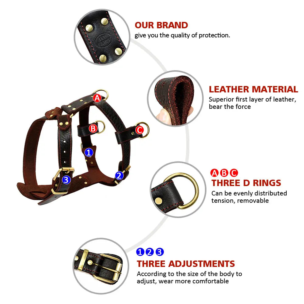 Adjustable Genuine Leather Dog's Harness - Premium Comfort & Durability WLP Company