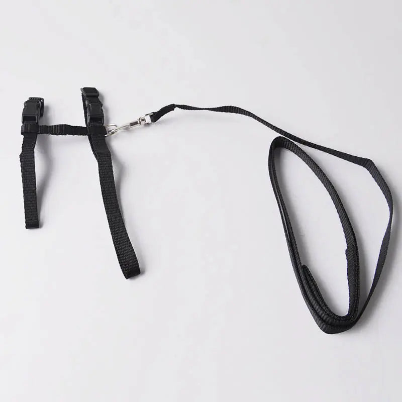 cat harness Adjustable Cat Walking Harness WLP Company