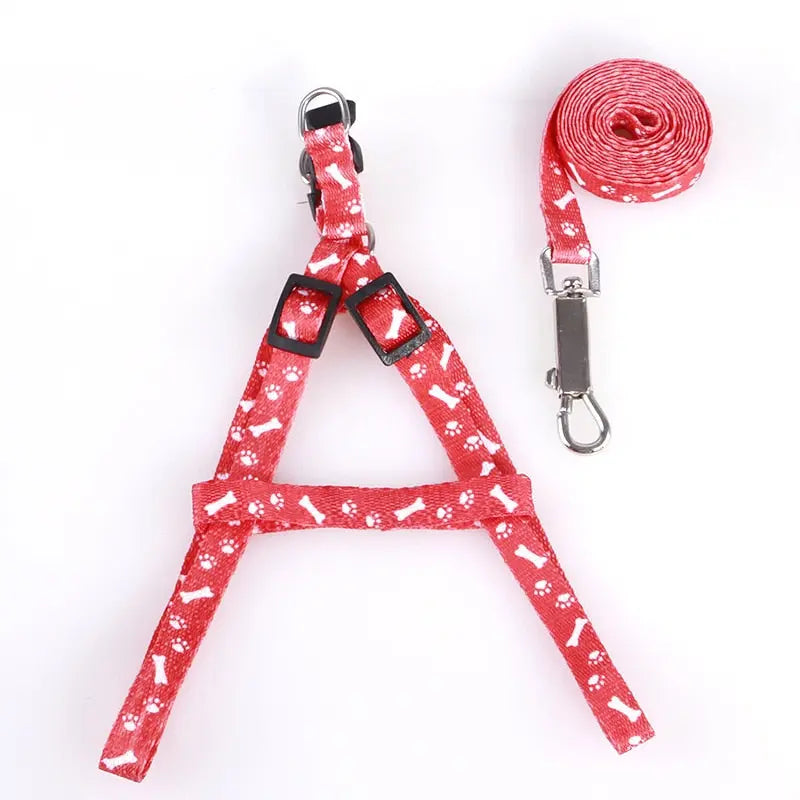 cat harness Adjustable Cat Walking Harness WLP Company