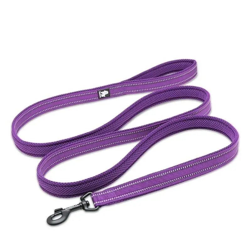 soft dog leash Nylon Dog Leash with Reflective Stripes WLP Company