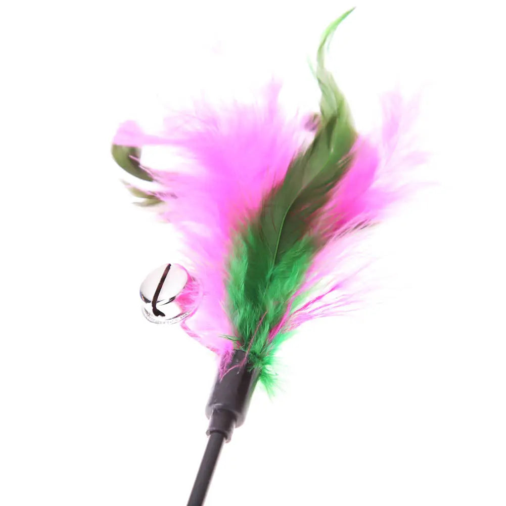 interactive cat toys Set Interactive Sticks with Feathers for Cats WLP Company