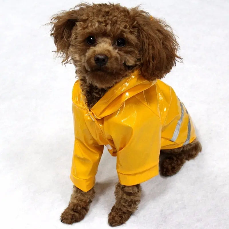 Glossy Leather Waterproof Dog Raincoat - Premium Weather Protection WLP Company