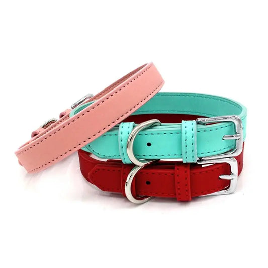 Stylish Solid Color Collar for Small Dogs - Perfect Accessory for Your Pet WLP Company