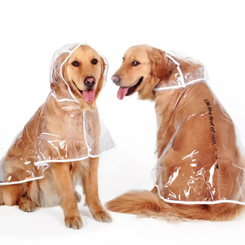 Transparent Autumn Dog Raincoat WLP Company