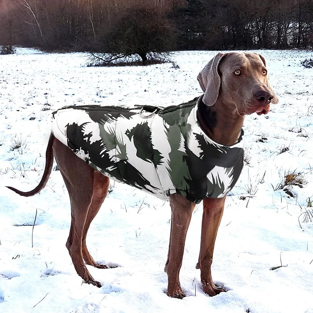waterproof dog vest- Insulated Hoodie Design with Polyester WLP Company