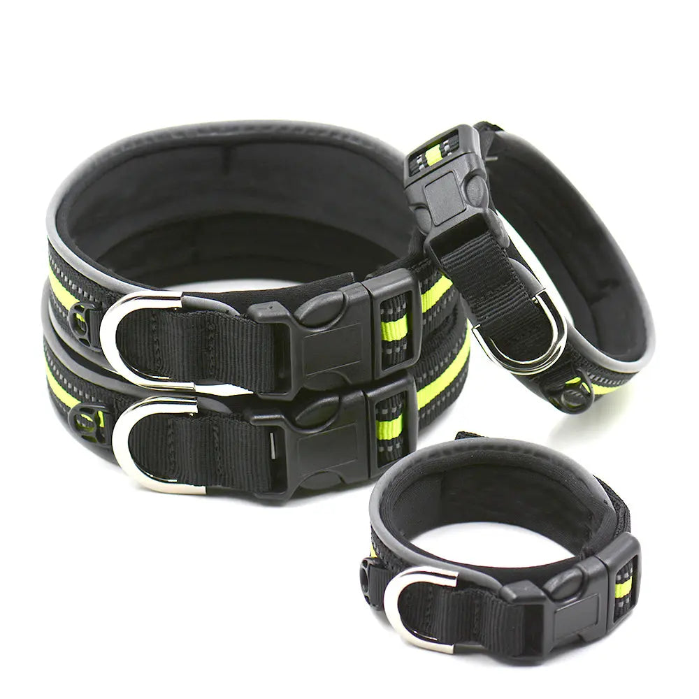 premium dog collar Nylon Dog Collar - Comfort & Durability WLP Company