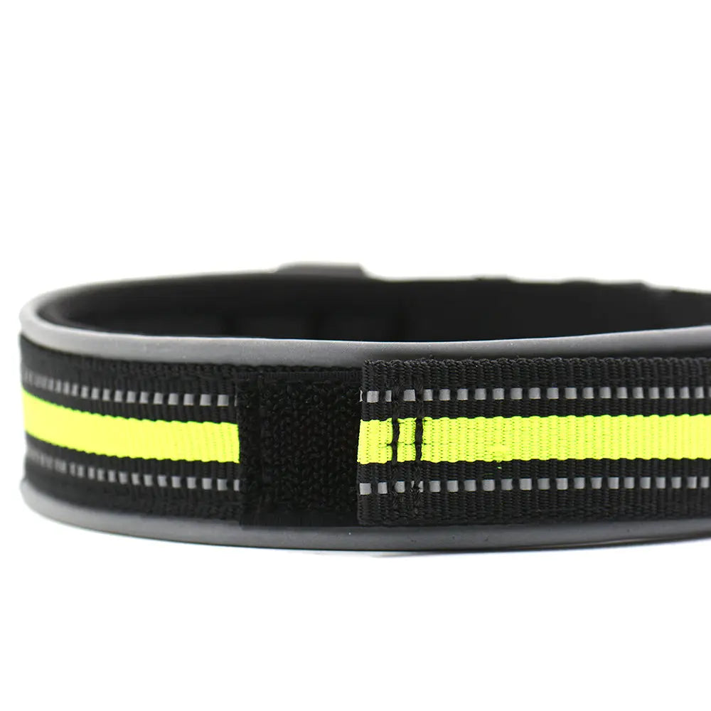 premium dog collar Nylon Dog Collar - Comfort & Durability WLP Company